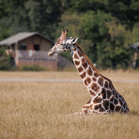 Hotel Knuthenborg Safaripark Maribo Exteriér fotografie