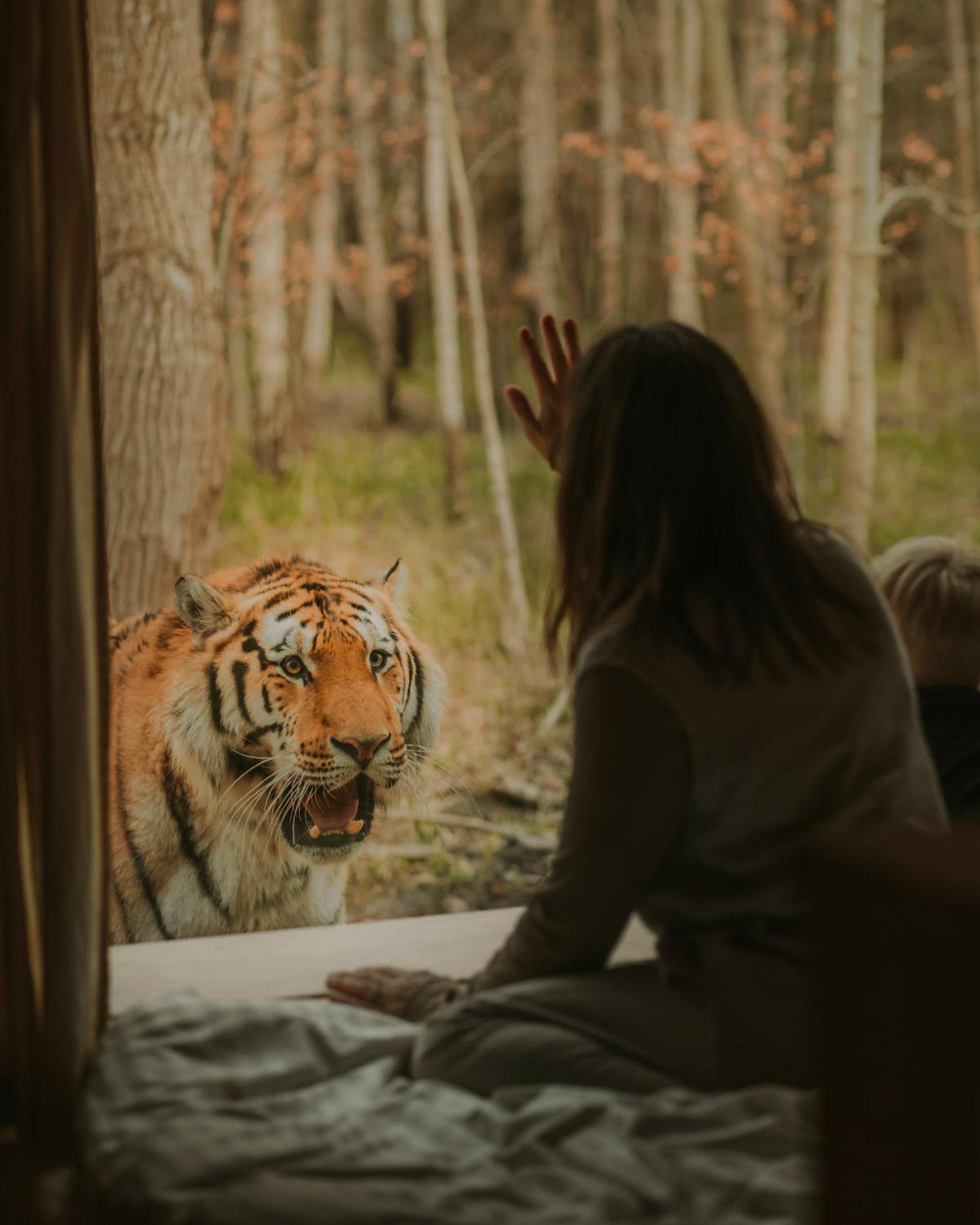 Hotel Knuthenborg Safaripark Maribo Exteriér fotografie