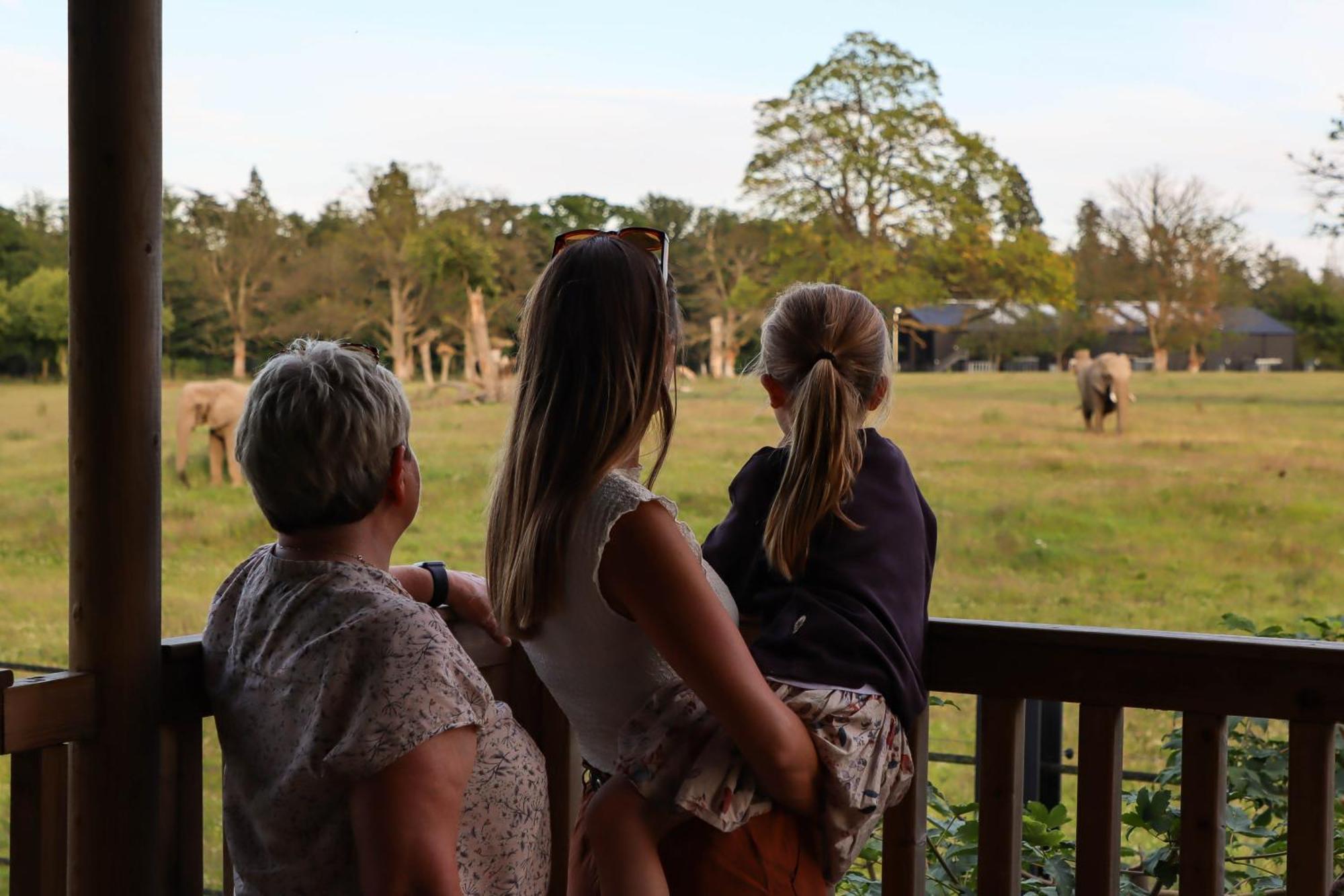 Hotel Knuthenborg Safaripark Maribo Exteriér fotografie
