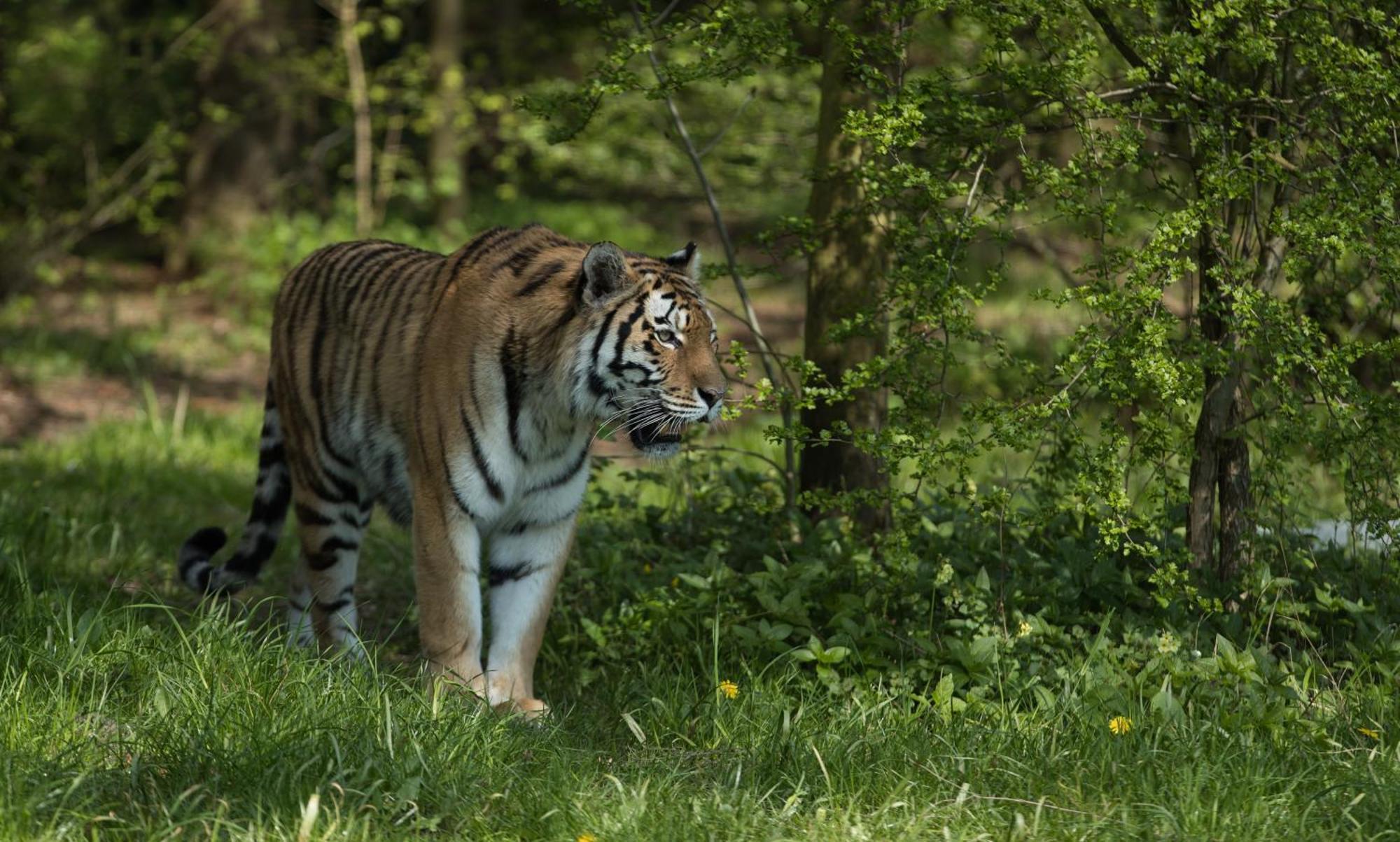 Hotel Knuthenborg Safaripark Maribo Exteriér fotografie