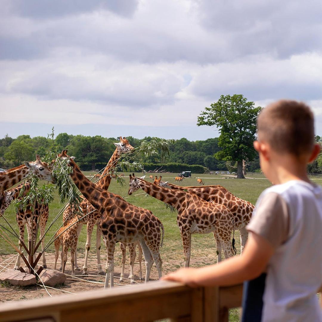 Hotel Knuthenborg Safaripark Maribo Exteriér fotografie