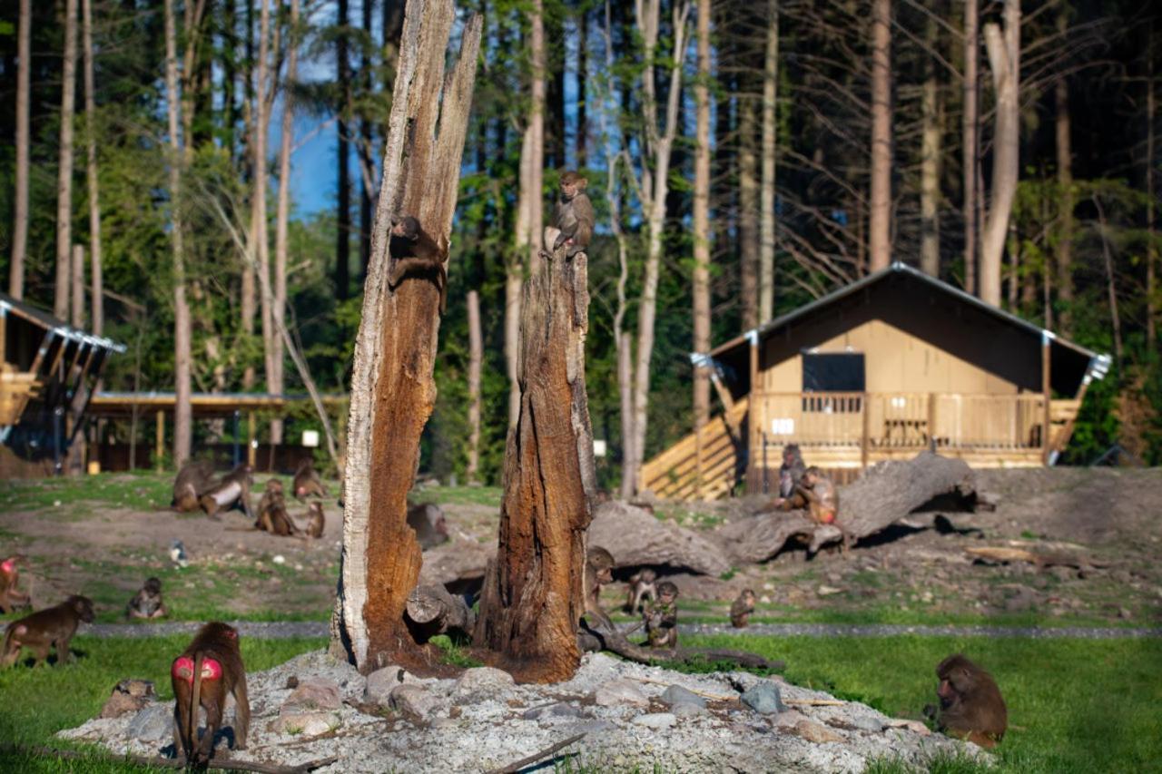 Hotel Knuthenborg Safaripark Maribo Exteriér fotografie