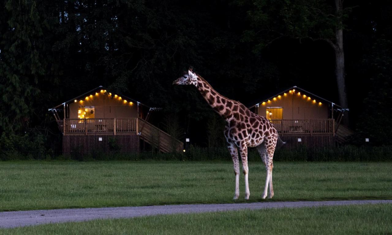 Hotel Knuthenborg Safaripark Maribo Exteriér fotografie