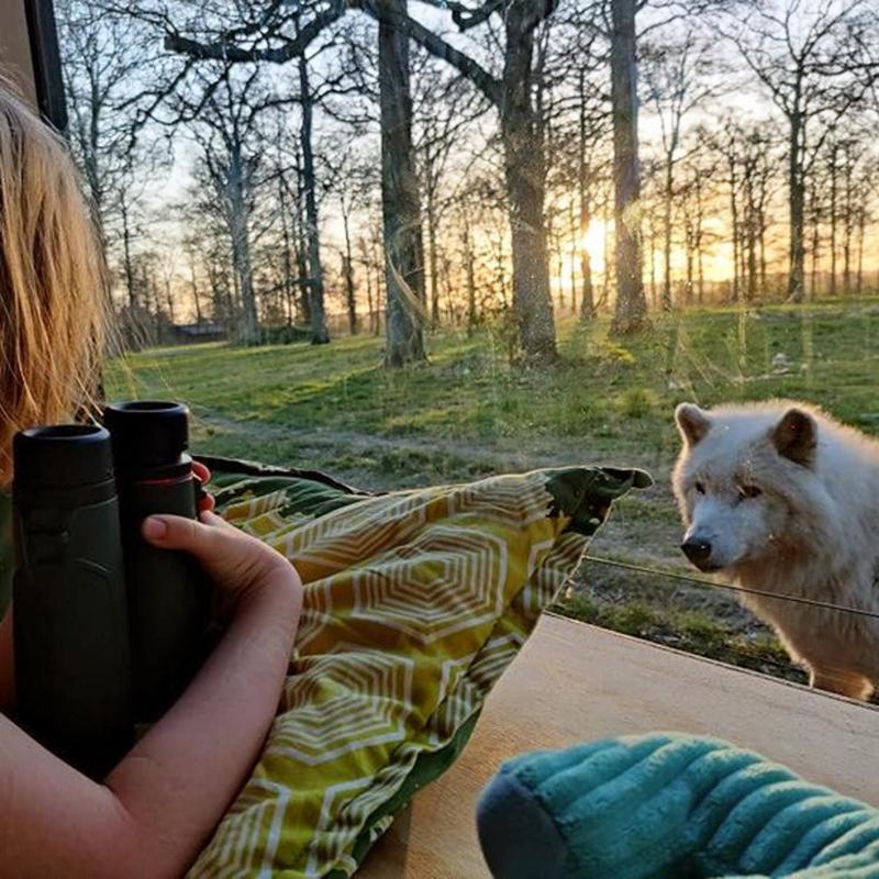 Hotel Knuthenborg Safaripark Maribo Exteriér fotografie