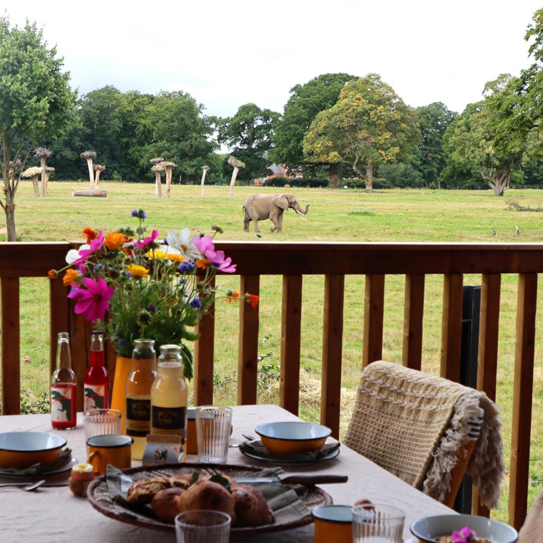 Hotel Knuthenborg Safaripark Maribo Exteriér fotografie