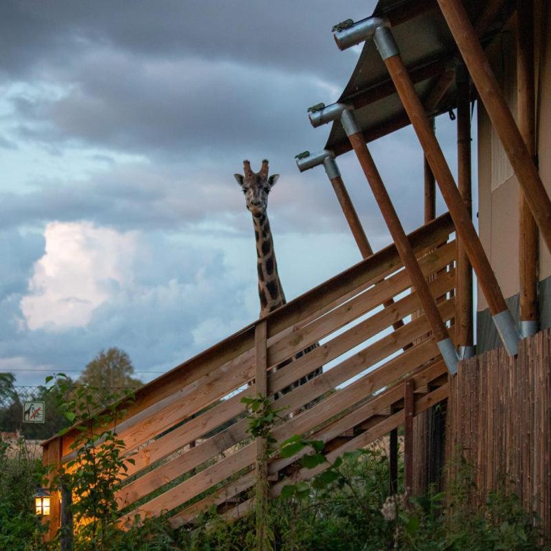 Hotel Knuthenborg Safaripark Maribo Exteriér fotografie